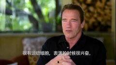 阿诺视频爆料最新官网在线观看,官网在线观看独家揭秘