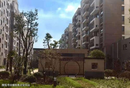 蛇姐最新爆料网址视频,最新爆料网址视频大揭秘！