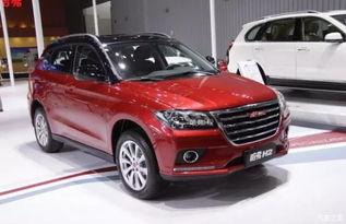 最新哈弗爆料新闻